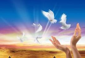 熱烈慶祝我公司網(wǎng)站正式上線！